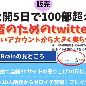 【お陰様で125部突破！】初心者のためのtwitter戦略～フォロワー10人前後のアカウントからゼロイチ突破の実績をつくった事例を徹底解説！～　レビュー