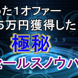 【たった1オファーで115万円】この教材の内容を実践するだけで稼いだ、極秘セールスノウハウ　レビュー