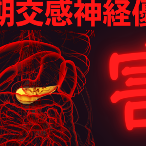 〜血糖と自律神経〜長期交感神経優位の害　レビュー