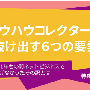 なぜわたしはネットビジネスで1年も稼げなかったのか? ノウハウコレクターを抜け出す６つのポイント　レビュー