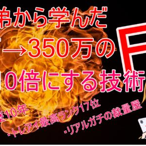 【FX】25万→350万円にしたガチのトレーダー技術を初心者でも再現できるよう解説　レビュー