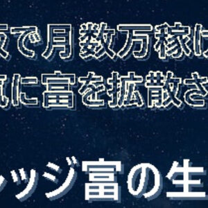 メルカリを使って月数万を稼ぐ人のレバレッジ富の生成術　レビュー