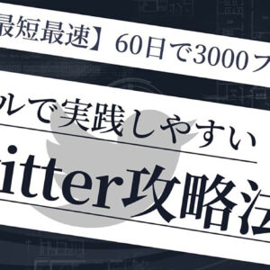 【最短最速60日で3000フォロワー】シンプルで実践しやすいTwitter攻略法　レビュー