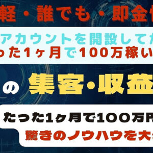 【無名のフォロワー200人アカで初月から100万越え】初心者でも稼げる魔法の集客・収益化術【脱ノウハウコレクター】　レビュー