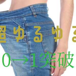 苦節1年？実際はテキトー＆超ゆるゆる運用で0→1突破　レビュー