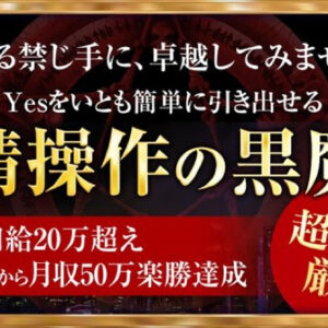 〜YESをいとも簡単に引き出せる〜感情操作の黒魔術　レビュー