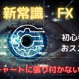 【新常識】FX スマホでもOK！忙しいあなたでも‥　レビュー