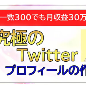 【Twitterフォロワー数が３００でも月収益３０万目指す】 究極のプロフィールの作り方　レビュー