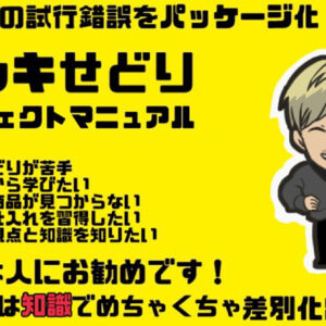 【店舗仕入れ】ドンキせどりパーフェクトマニュアル　レビュー