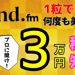 stand.fm1粒で何度も美味しい！3万円稼ぐ知識　レビュー