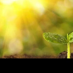 ★私が【薄毛】から復活した方法！！！　レビュー