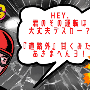 【道路外】だけで明暗が別れる。気を付けろよその運転。　レビュー