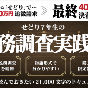 せどり7年生の税務調査実践記　レビュー
