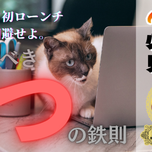 【後発ルーキー必見】コンテンツ初ローンチ大失敗を回避せよ。死守すべき”4つの鉄則”　レビュー