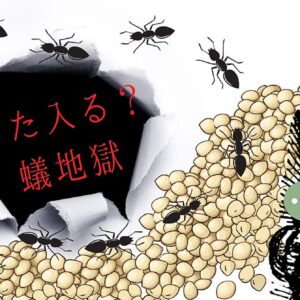 いい情報や儲かる情報を与えられるだけの人生まだ続けますか？　レビュー