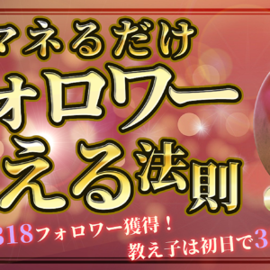 30日で5318フォロワー獲得！マネるだけフォロワー増える法則　レビュー