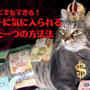 誰にでもできる！メンターに気に入られるたった一つの方法　レビュー