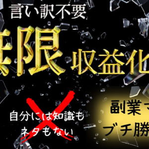 【言い訳不要】ママがブチ勝つ、我が子がいれば0→1突破なんて余裕　レビュー