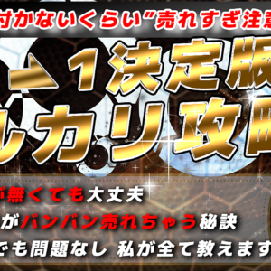 【早く０→１突破をする！】スキル０、初心者でも出来たメルカリ販売！！　レビュー