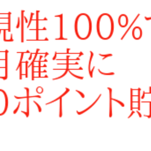 再現性100%で毎月確実に500ポイント貯めるポイ活　レビュー