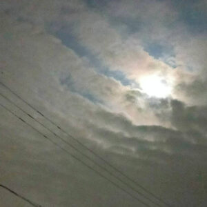 月夜の想い　レビュー