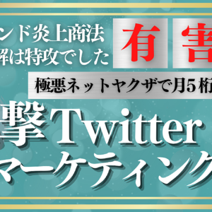 【※超極悪】凸撃Twitterマーケティング【良い子はマネしないで！】　レビュー