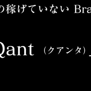 【必笑】全ての稼げていないBrainユーザーに捧げる「Qant（クアンタ）」　レビュー