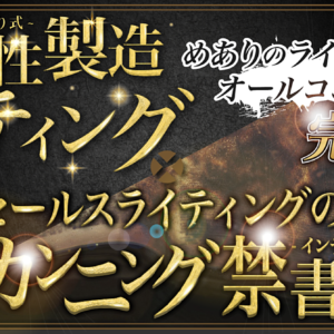 【最終７７０００円】めあり式ライティングオールコンプリート【完全版】　レビュー