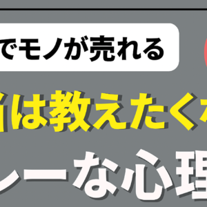 【100部限定】億越え経営者もひた隠しにする本当は教えたくないちょっぴりグレーな心理学　レビュー