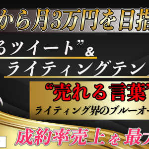 【初心者から月3万円を目指す】“売れるツイート” &ライティングテンプレート 「ライティング界のブルーオーシャンを狙え！」　レビュー