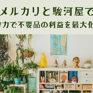 メルカリと駿河屋で少ない労力で不要品の利益を最大化する方法　レビュー