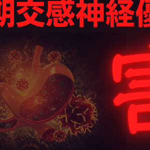 〜消化と自律神経〜長期交感神経優位の害　レビュー