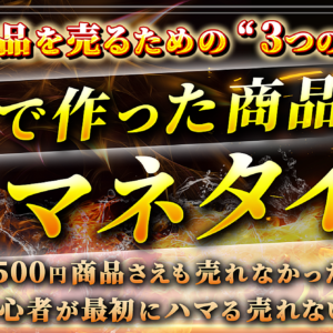 【自分の商品で収益化&実績作り】たった３STEP！約半年間500円商品でさえも売れなかった原因と徹底解説”売れる仕組みの真髄とは！？”　レビュー