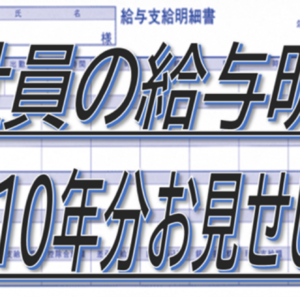 サラリーマンの給料明細をお見せします【10年分】　レビュー