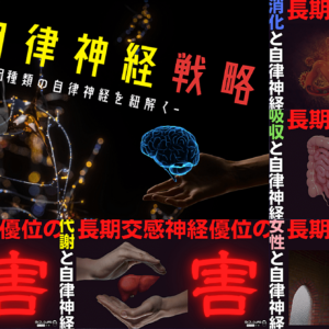 自律神経と内臓学お得パック　レビュー