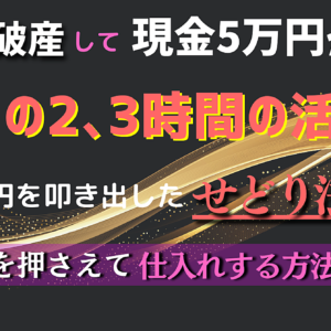 自己破産して現金5万円から平日2､3時間の活動だけの独学せどりで最高月商87万円を叩き出したすぐに実践出来るせどり法！　レビュー