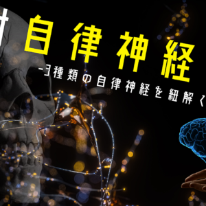 対自律神経戦略 -3種類の自律神経を紐解く-　レビュー