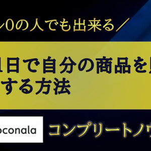 スキル０でも出来る！たった１日で自分の商品を販売し収益化する方法　レビュー