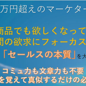 【ビジネスの基礎】月収８００万円を超えるマーケターのセールススキル。人間の欲求を理解して決して無視できない魅力的なオファーを提示する方法。　レビュー