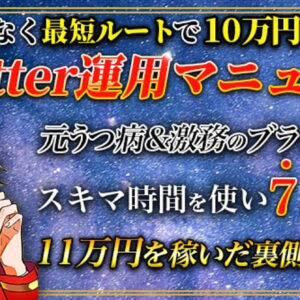 迷いなく最短ルートで10万円達成 Twitter運用マニュアル 元うつ病＆激務のブラック社畜が スキマ時間を使い7日間で 11万円を稼いだ裏側を大公開　レビュー
