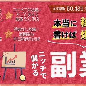 実践で稼げて書いても売れる！ライバル極少のニッチで儲かる副業攻略本【全8マネタイズ/50431文字】　レビュー
