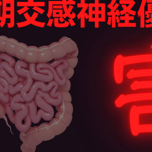 〜吸収と自律神経〜長期交感神経優位の害　レビュー