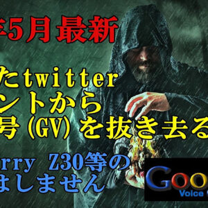 【2022年5月最新】凍結したtwitterアカウントからGoogleVoiceを抜き出す　レビュー
