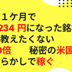 【ほったらかしで稼ぐ方法】株価２０倍になる可能性がある 秘密の米国株の銘柄１つ紹介　レビュー