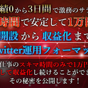 開設から収益化までのTwitter運用フォーマット　レビュー