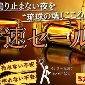 【‶はじめて”のコンテンツ販売者に大好評】"超無名人"の教材が、販売初日で『50部』販売してしまった《音速セールス》　レビュー