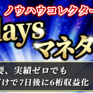 【ノウハウコレクターの逆襲】７daysマネタイズテンプレート【SNS不要、実績不要でシンプルに真似るだけ】　レビュー