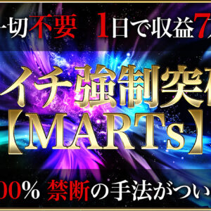 【禁断の手法解禁】わずか1日で7万円を達成した“MARTS”　レビュー