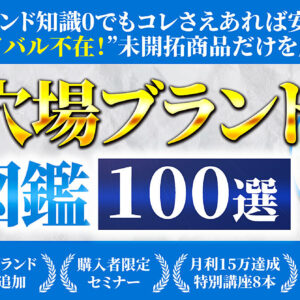 ブランド知識0の初心者こそ知るべきブルーオーシャン戦略 "ライバル不在！"店舗で拾い放題の未開拓商品だけを厳選 【超・穴場ブランド大図鑑100選】　レビュー