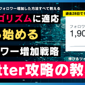 【再現性あり】新Twitter攻略の教科書（特典：伸びるツイートテンプレ付き）　レビュー